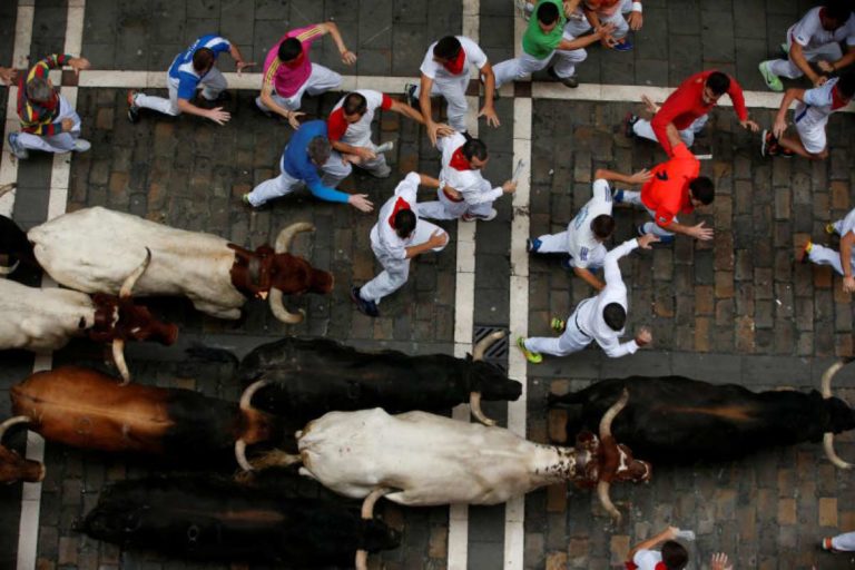 Arial view of bulls running. Photo by Straits Time.